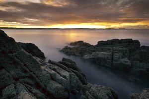 Mossyard Sunset # 2